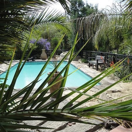 Pine Tree Lodge Midrand Eksteriør bilde