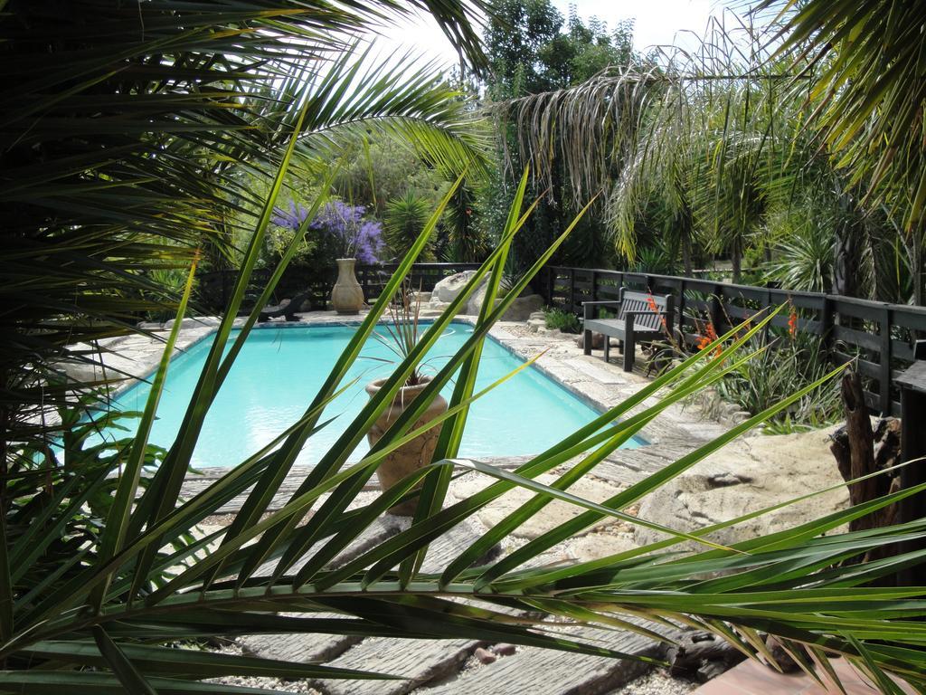 Pine Tree Lodge Midrand Eksteriør bilde
